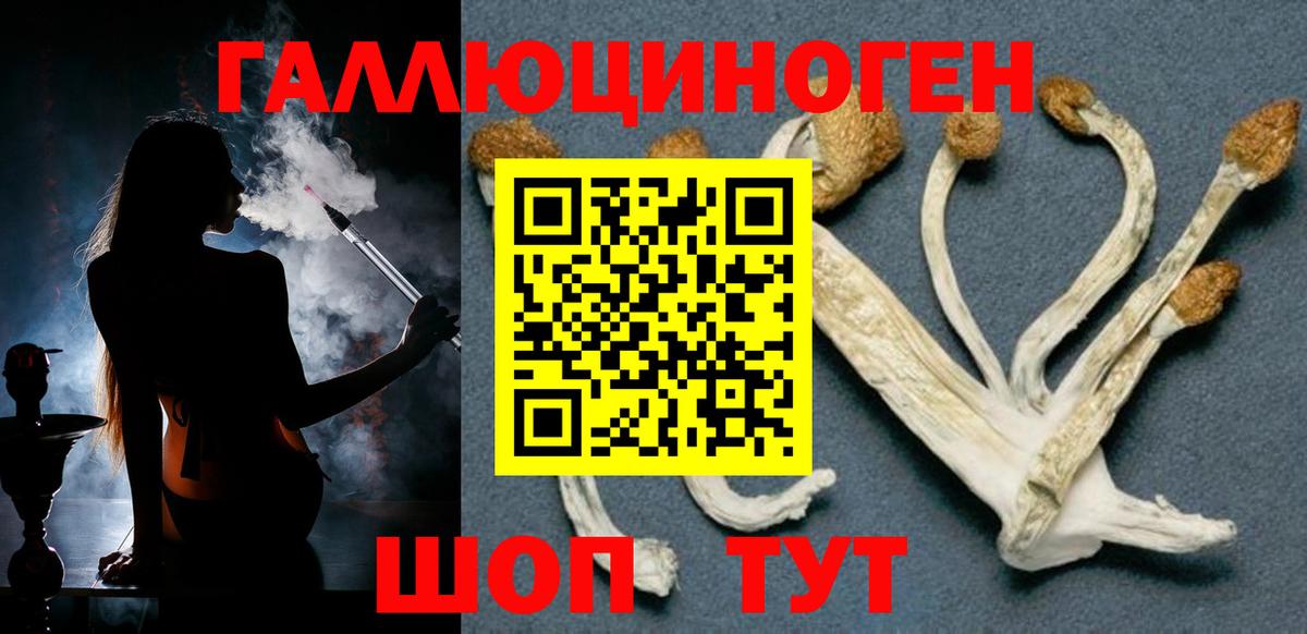 Красный Сулин  Галлюциногенные грибы прущие грибы  Вход с VPN 